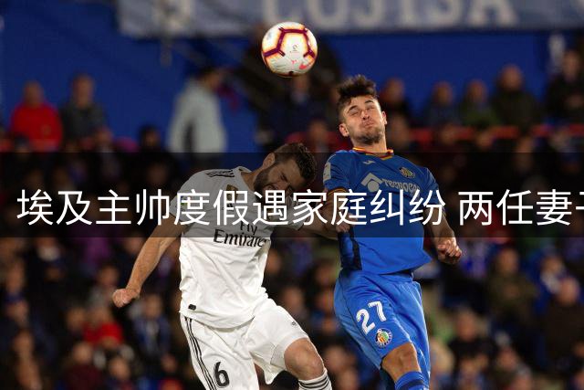 埃及主帅度假遇家庭纠纷 两任妻子酒吧斗殴致其昏厥