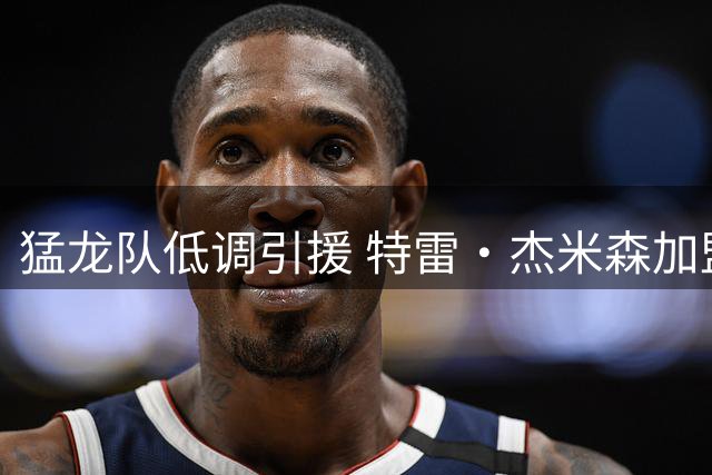 猛龙队低调引援 特雷·杰米森加盟开启双向合同之旅