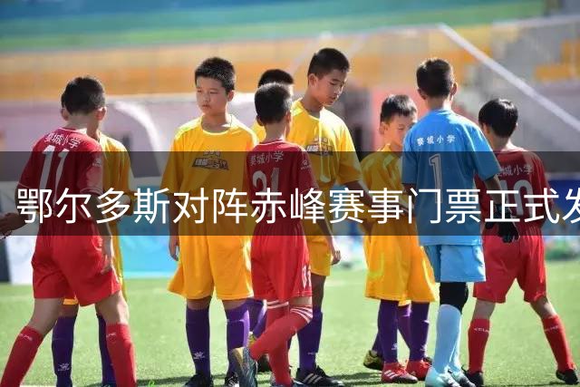 鄂尔多斯对阵赤峰赛事门票正式发售